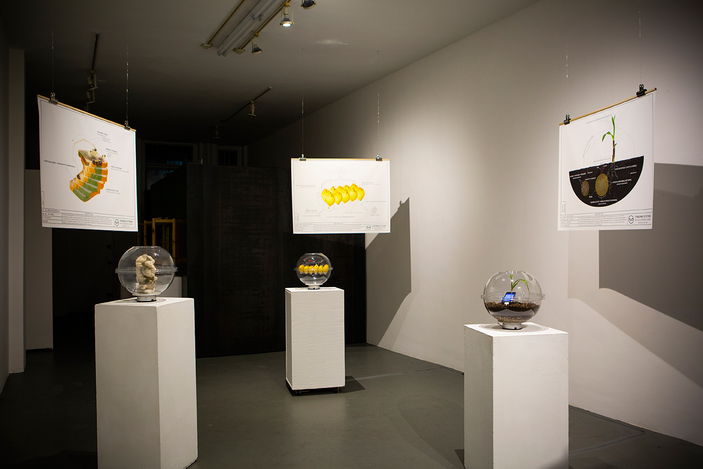 Interior image of exhibition – please note the plastic orbs spin on the pedestals